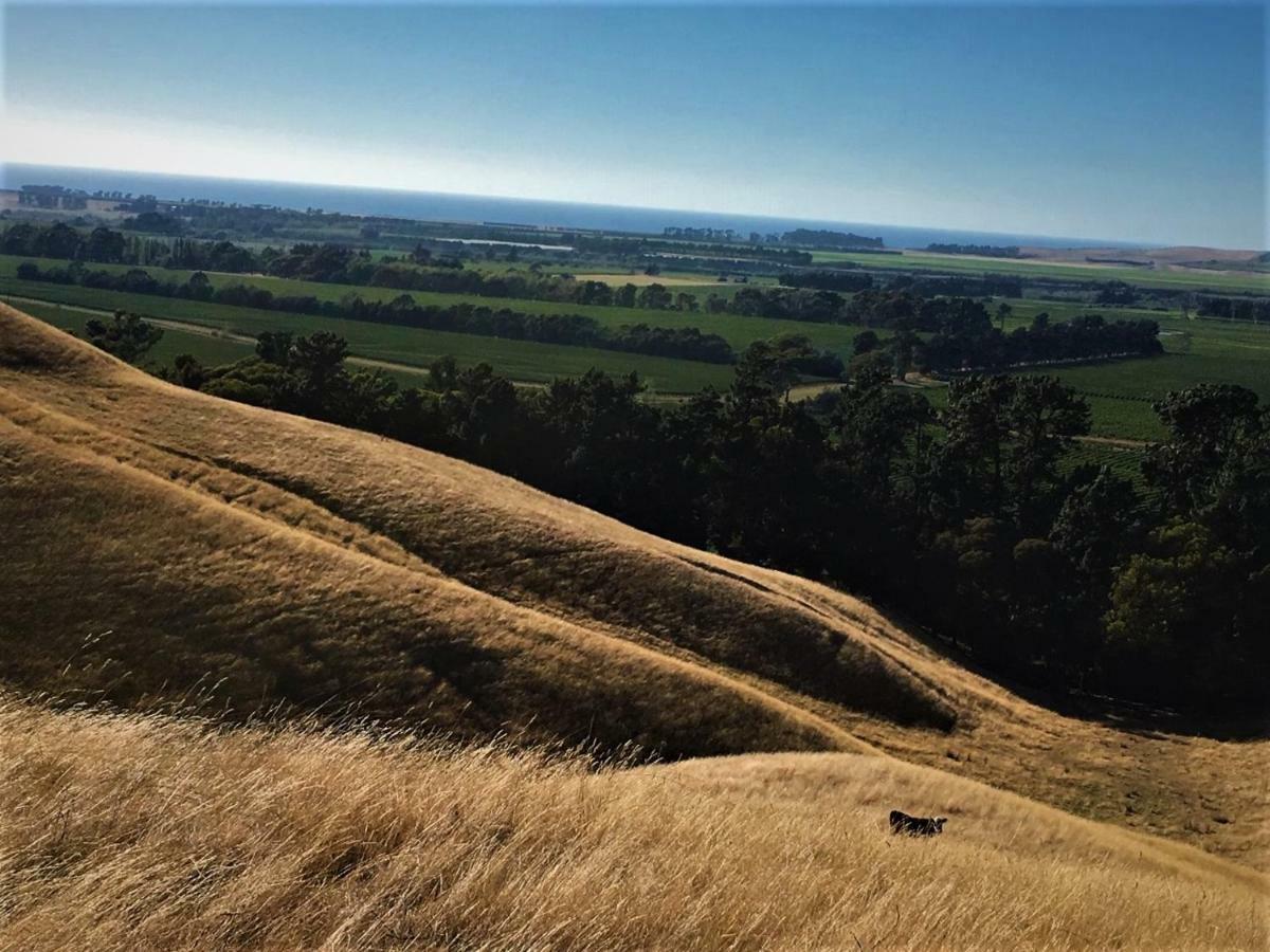 Hill Top Retreat Lower Dashwood Extérieur photo